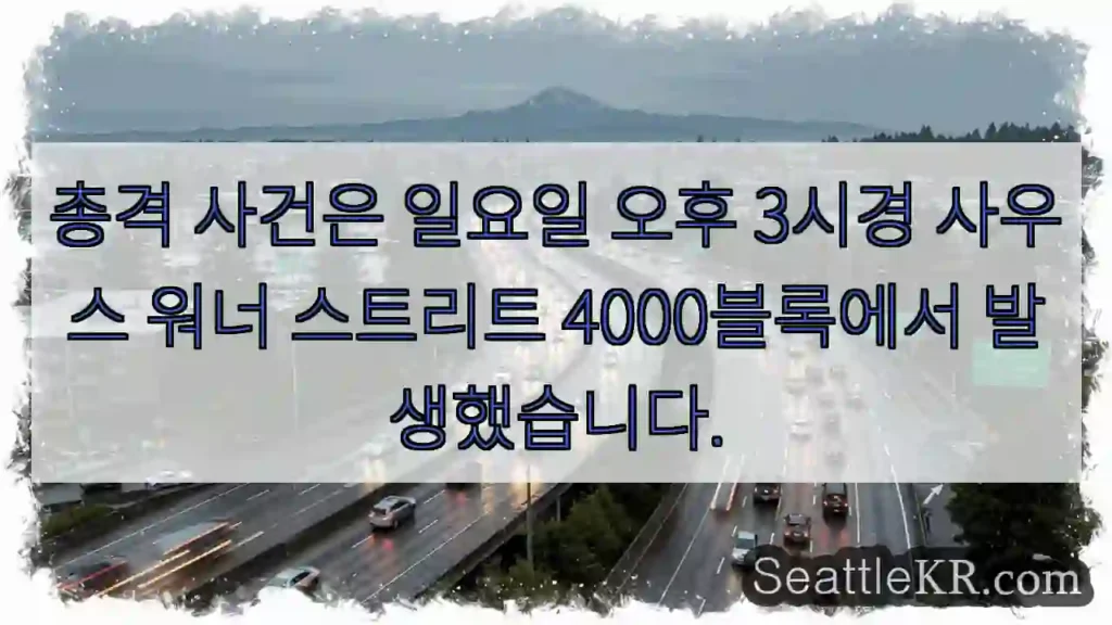 총격 사건은 일요일 오후 3시경 사우스 워너 스트리트 4000블록에서 발생했습니다.