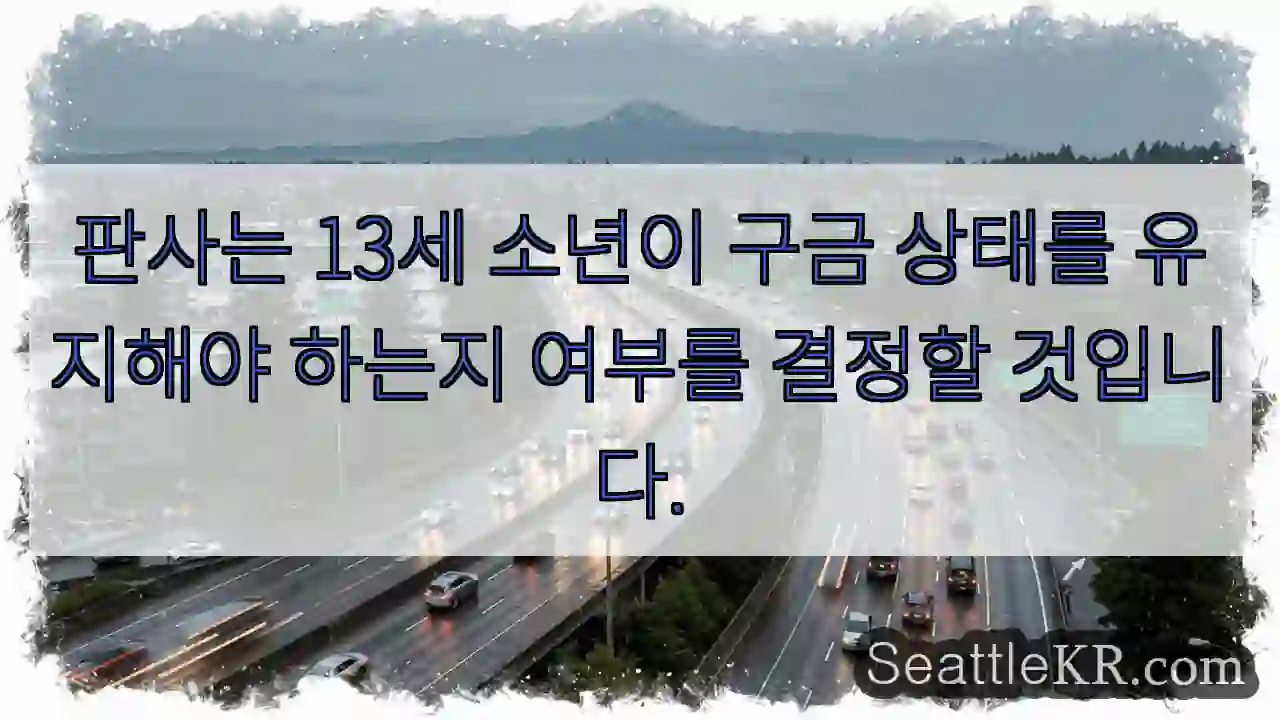 판사는 13세 소년이 구금 상태를 유지해야 하는지 여부를 결정할 것입니다.
