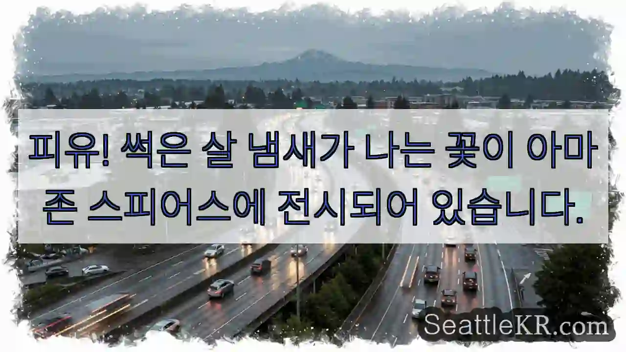피유! 썩은 살 냄새가 나는 꽃이 아마존 스피어스에 전시되어 있습니다.