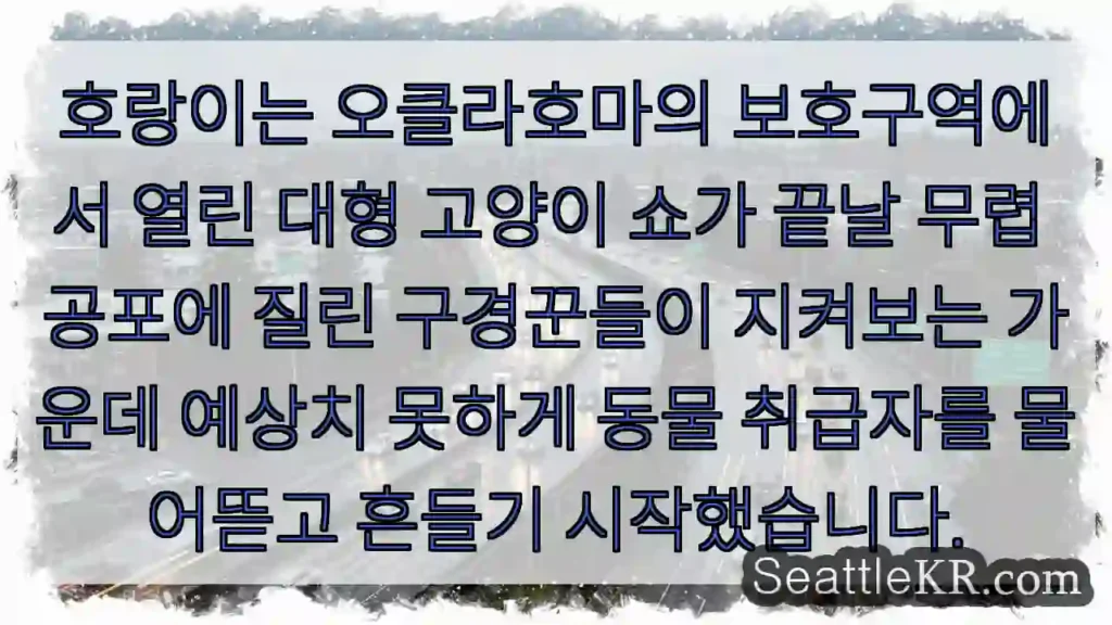 호랑이는 오클라호마의 보호구역에서 열린 대형 고양이 쇼가 끝날 무렵 공포에 질린