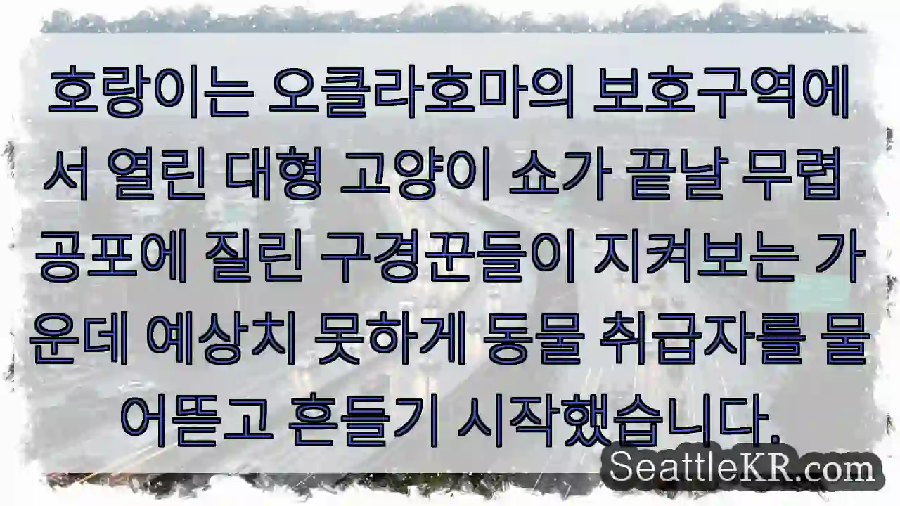 호랑이는 오클라호마의 보호구역에서 열린 대형 고양이 쇼가 끝날 무렵 공포에 질린