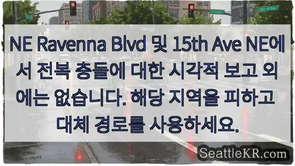NE Ravenna Blvd 및 15th Ave NE에서 전복 충돌에 대한 시각적 보고