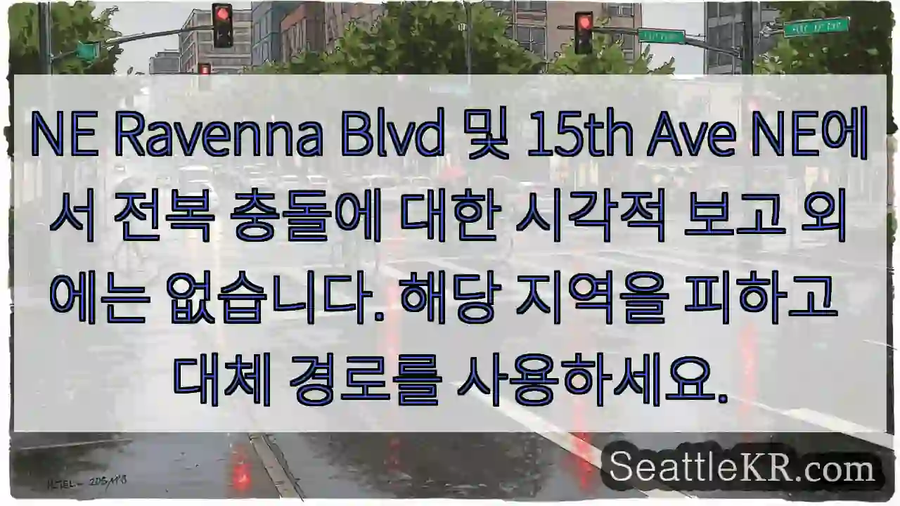 NE Ravenna Blvd 및 15th Ave NE에서 전복 충돌에 대한 시각적 보고