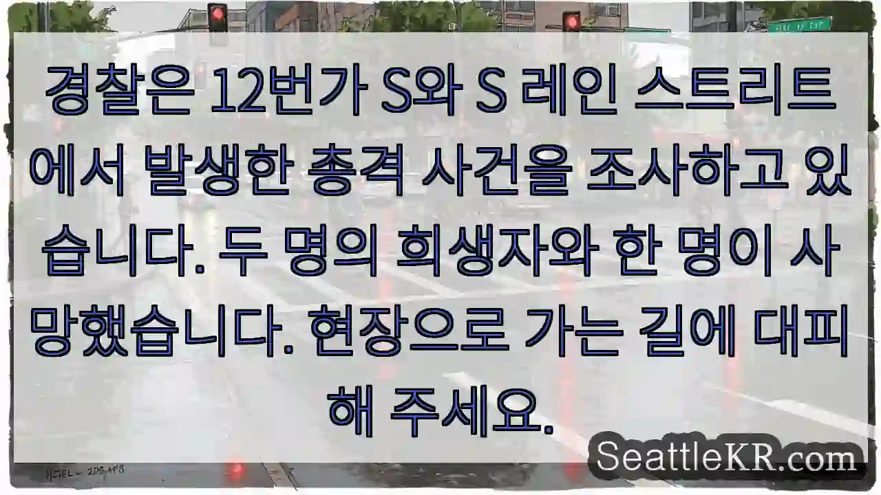 경찰은 12번가 S와 S 레인 스트리트에서 발생한 총격 사건을 조사하고 있습니다. 두