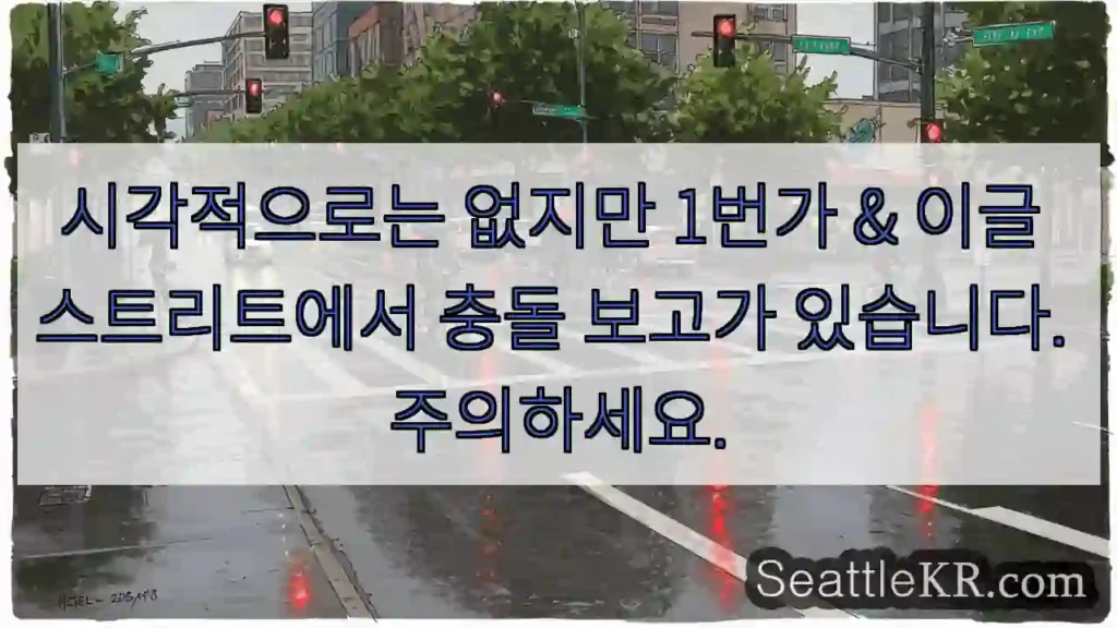 시각적으로는 없지만 1번가 & 이글 스트리트에서 충돌 보고가 있습니다. 주의하세요.