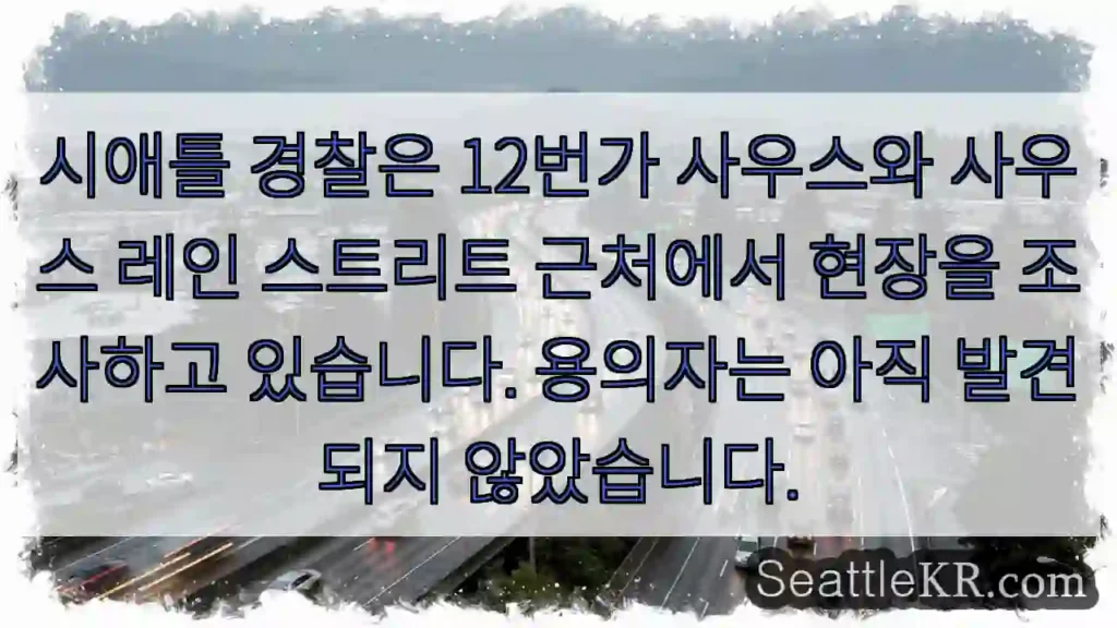 시애틀 경찰은 12번가 사우스와 사우스 레인 스트리트 근처에서 현장을 조사하고 있습니다.