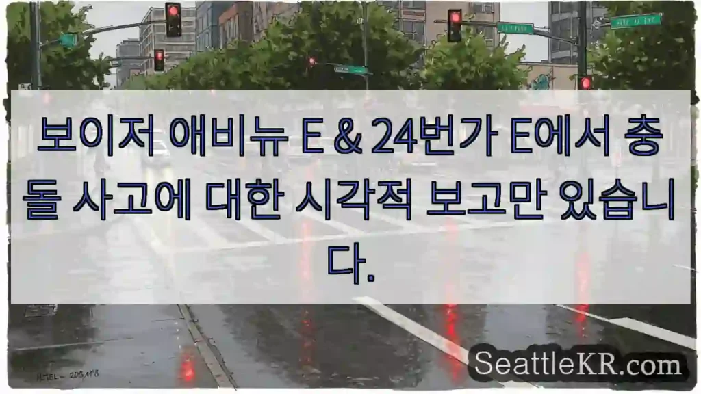 보이저 애비뉴 E & 24번가 E에서 충돌 사고에 대한 시각적 보고만 있습니다.