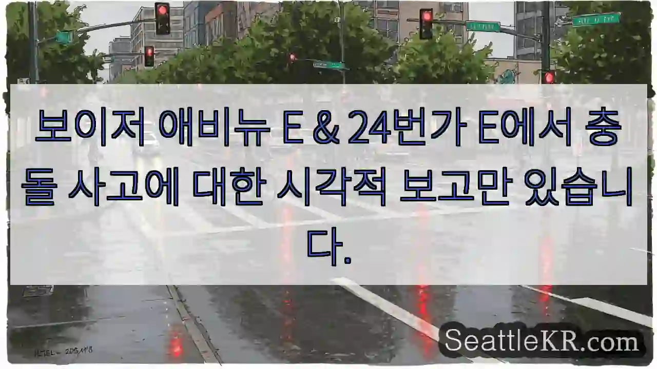 보이저 애비뉴 E & 24번가 E에서 충돌 사고에 대한 시각적 보고만 있습니다.