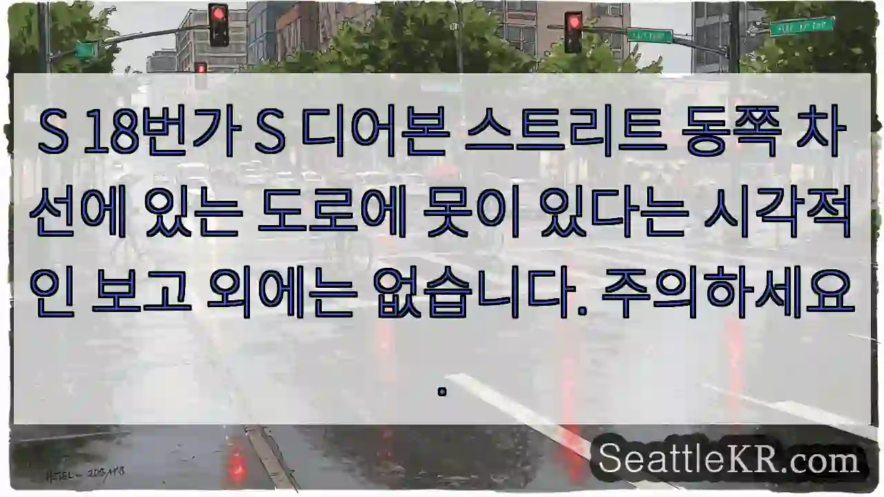 S 18번가 S 디어본 스트리트 동쪽 차선에 있는 도로에 못이 있다는 시각적인 보고