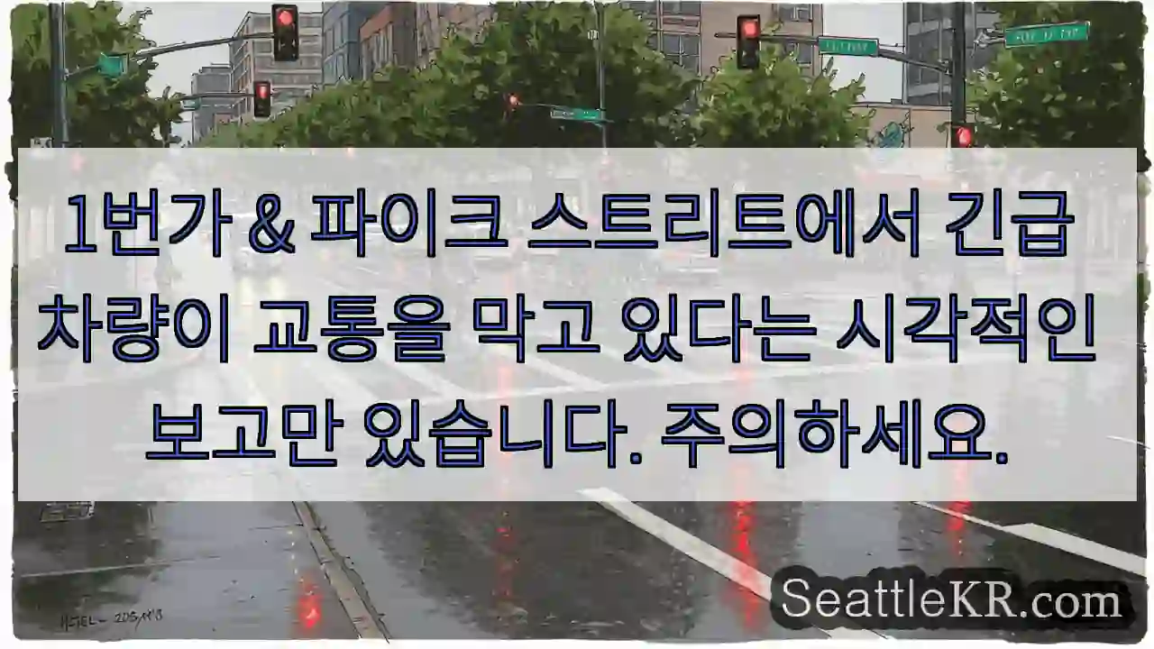 1번가 & 파이크 스트리트에서 긴급 차량이 교통을 막고 있다는 시각적인 보고만 있습니다.