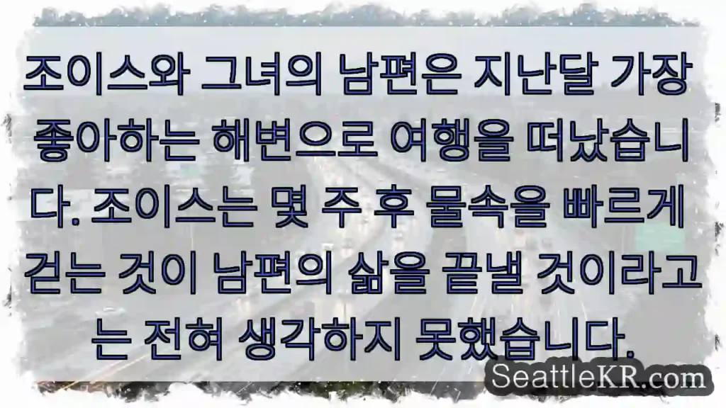 조이스와 그녀의 남편은 지난달 가장 좋아하는 해변으로 여행을 떠났습니다. 조이스는 몇 주