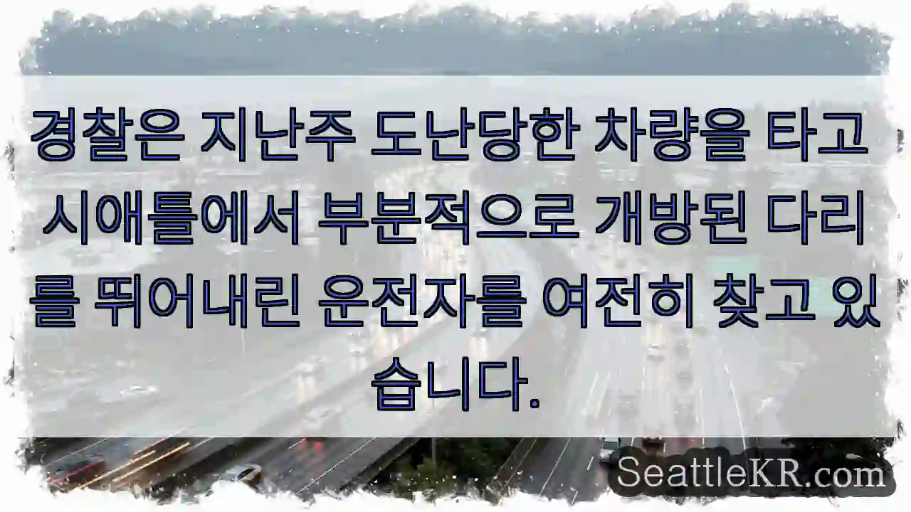 경찰은 지난주 도난당한 차량을 타고 시애틀에서 부분적으로 개방된 다리를 뛰어내린 운전자를