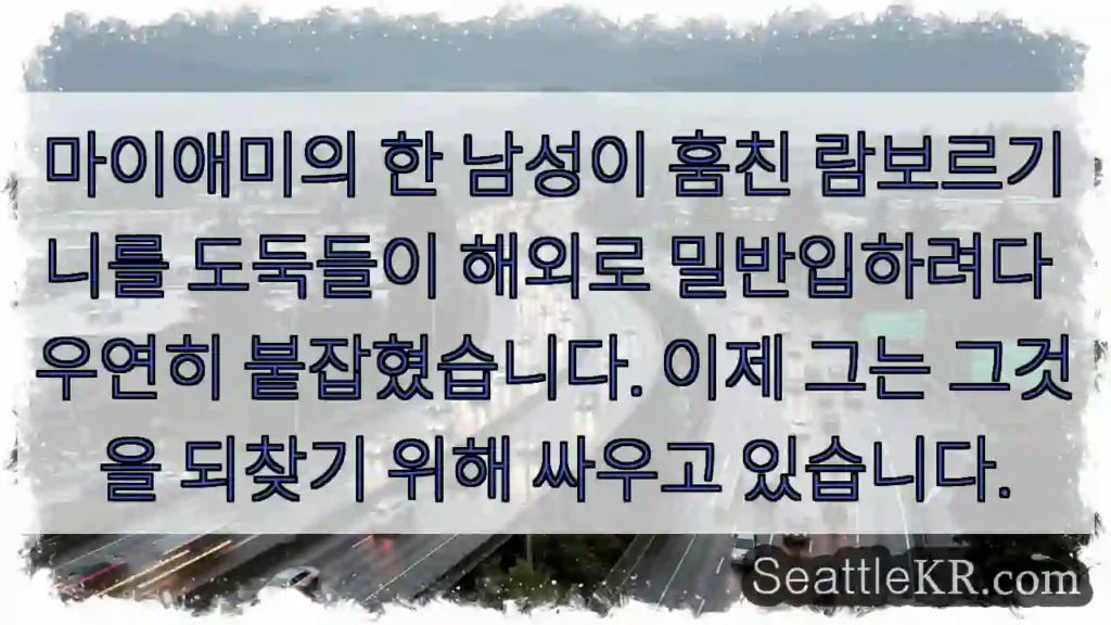 마이애미의 한 남성이 훔친 람보르기니를 도둑들이 해외로 밀반입하려다 우연히 붙잡혔습니다.