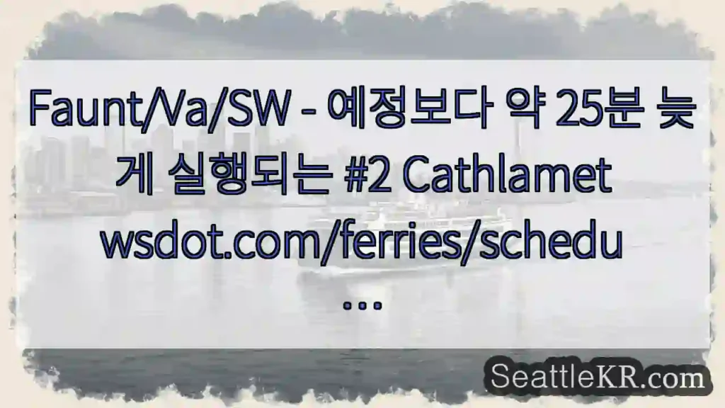 Faunt/Va/SW - 예정보다 약 25분 늦게 실행되는 #2
