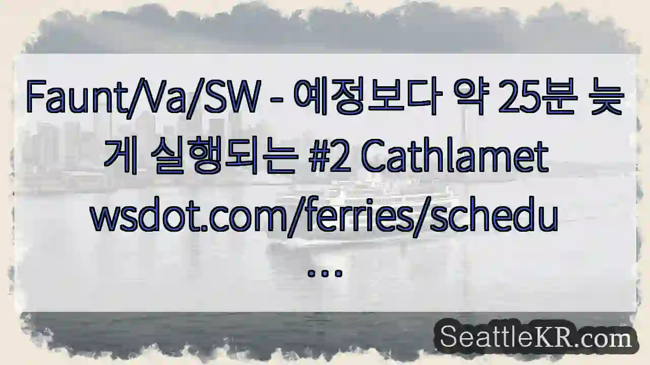 Faunt/Va/SW - 예정보다 약 25분 늦게 실행되는 #2
