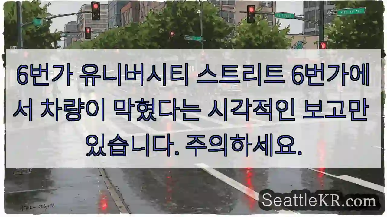 6번가 유니버시티 스트리트 6번가에서 차량이 막혔다는 시각적인 보고만 있습니다.