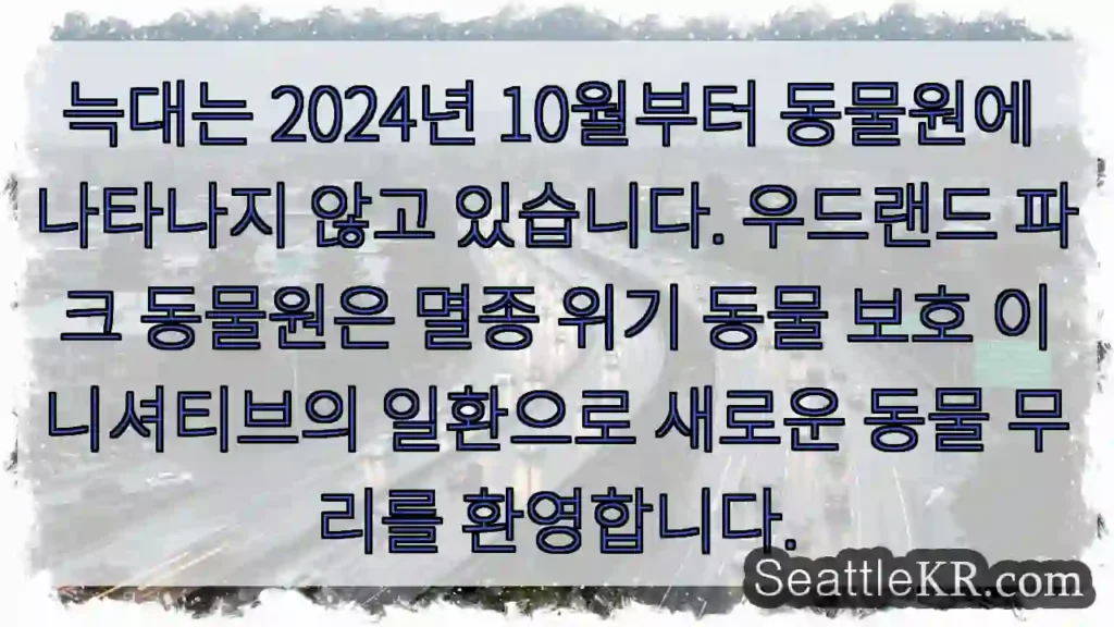 늑대는 2024년 10월부터 동물원에 나타나지 않고 있습니다. 우드랜드 파크 동물원은