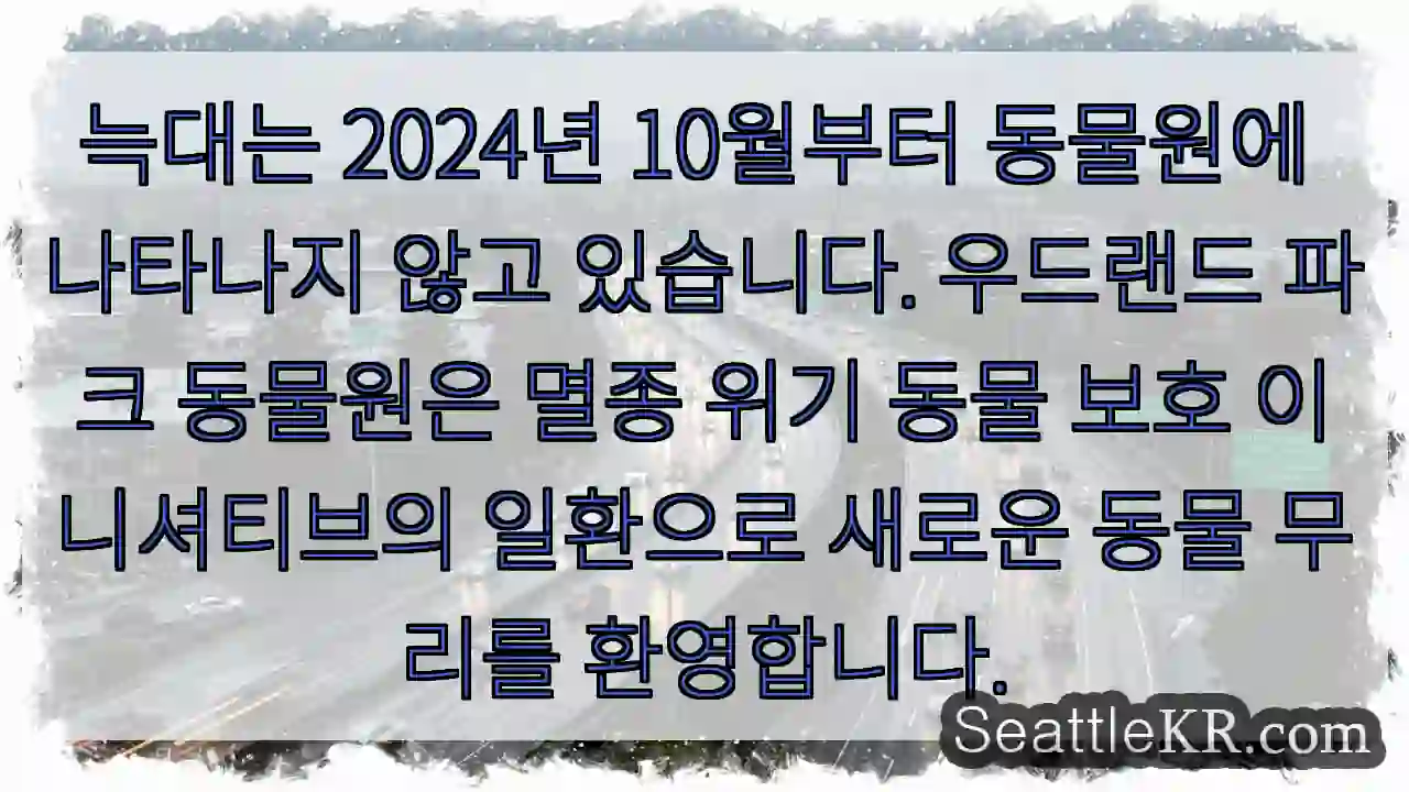 늑대는 2024년 10월부터 동물원에 나타나지 않고 있습니다. 우드랜드 파크 동물원은