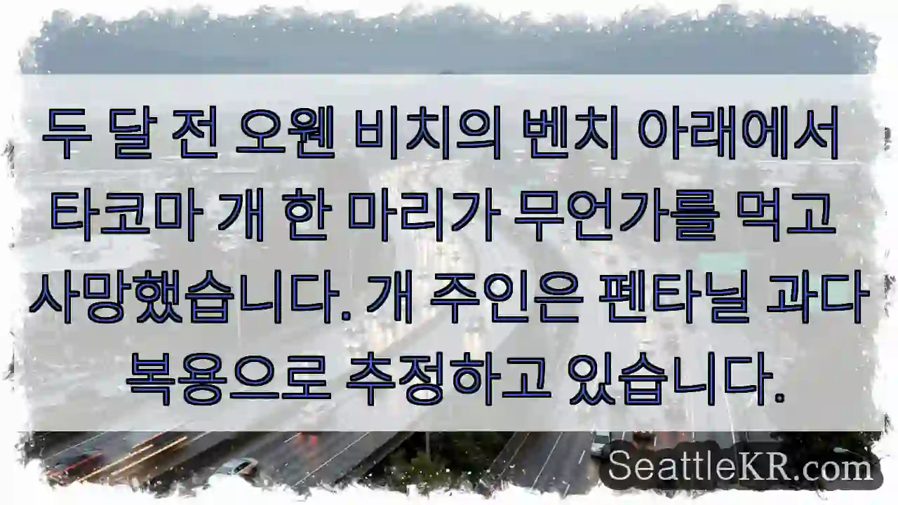 두 달 전 오웬 비치의 벤치 아래에서 타코마 개 한 마리가 무언가를 먹고 사망했습니다.