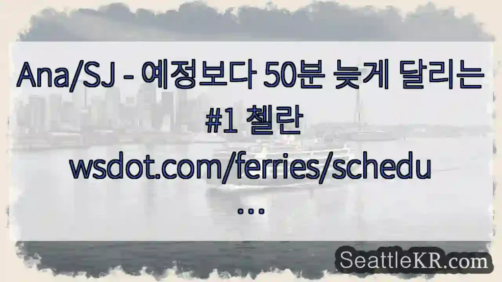 Ana/SJ - 예정보다 50분 늦게 달리는 #1