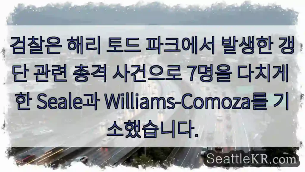 검찰은 해리 토드 파크에서 발생한 갱단 관련 총격 사건으로 7명을 다치게 한 Seale과