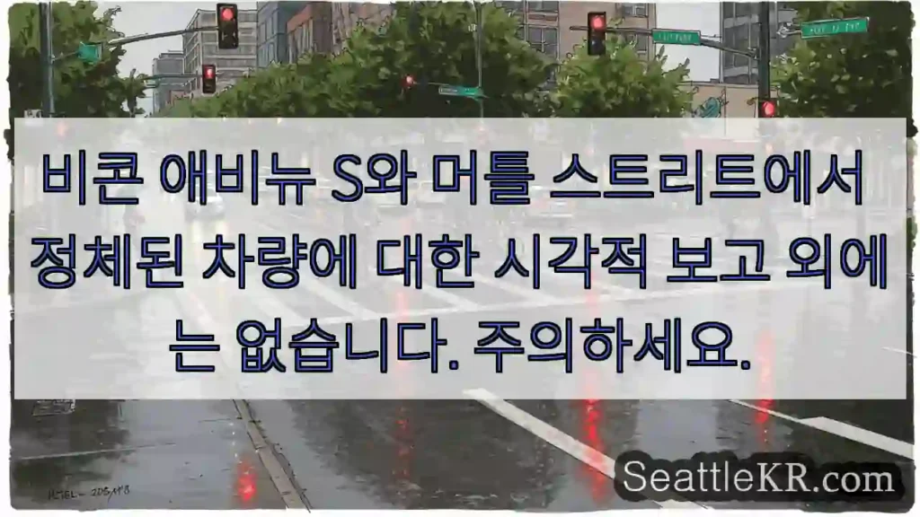 비콘 애비뉴 S와 머틀 스트리트에서 정체된 차량에 대한 시각적 보고 외에는 없습니다.