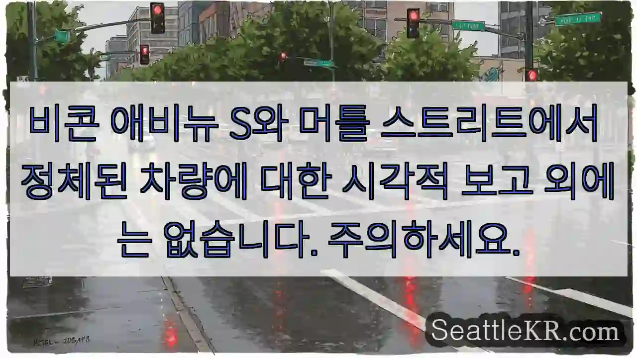 비콘 애비뉴 S와 머틀 스트리트에서 정체된 차량에 대한 시각적 보고 외에는 없습니다.