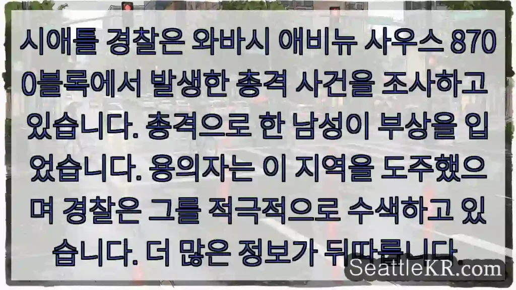 시애틀 경찰은 와바시 애비뉴 사우스 8700블록에서 발생한 총격 사건을 조사하고