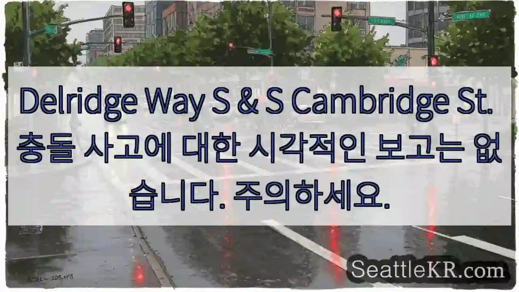 Delridge Way S & S Cambridge St. 충돌 사고에 대한 시각적인