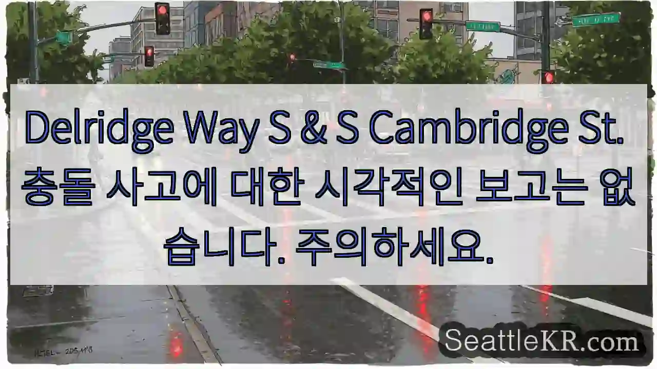 Delridge Way S & S Cambridge St. 충돌 사고에 대한 시각적인