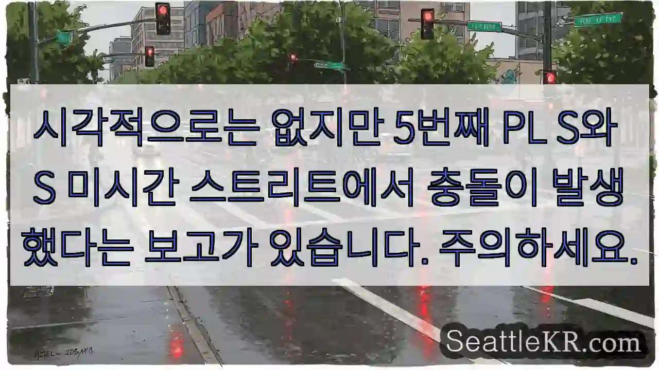 시각적으로는 없지만 5번째 PL S와 S 미시간 스트리트에서 충돌이 발생했다는 보고가