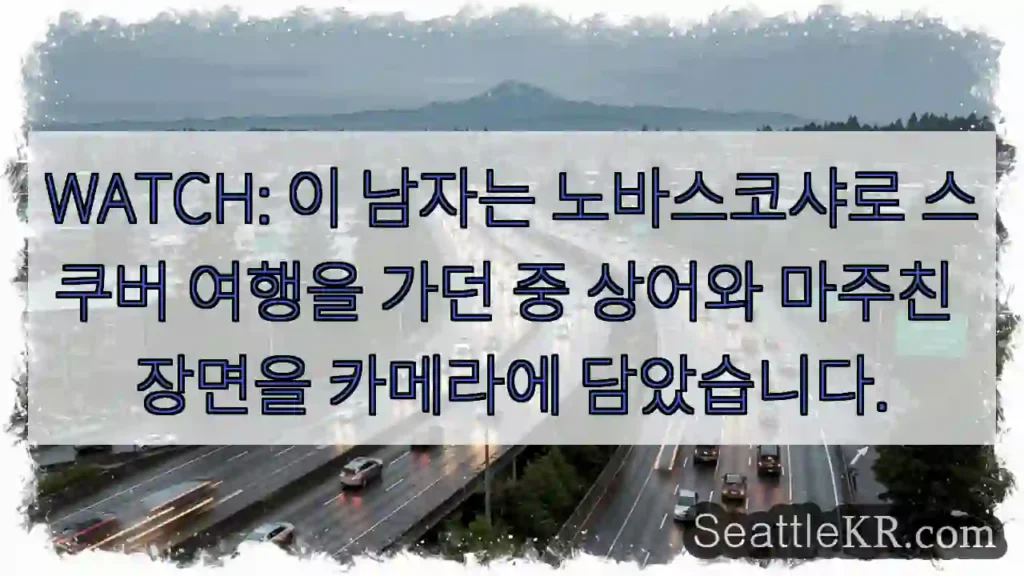 WATCH: 이 남자는 노바스코샤로 스쿠버 여행을 가던 중 상어와 마주친 장면을 카메라에