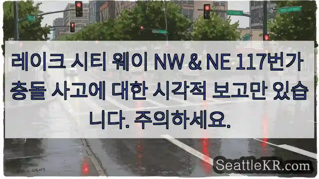 레이크 시티 웨이 NW & NE 117번가 충돌 사고에 대한 시각적 보고만 있습니다.