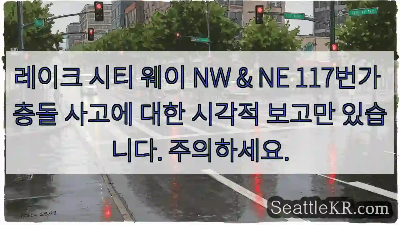 레이크 시티 웨이 NW & NE 117번가 충돌 사고에 대한 시각적 보고만 있습니다.