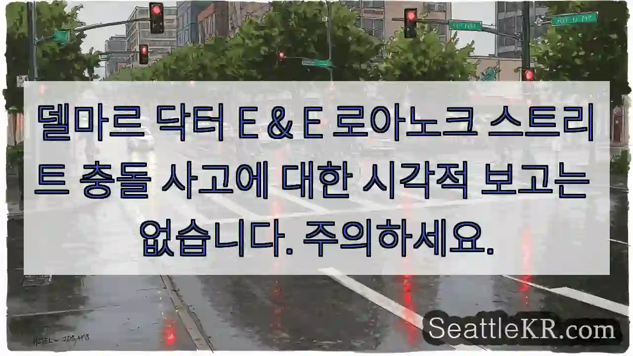 델마르 닥터 E & E 로아노크 스트리트 충돌 사고에 대한 시각적 보고는 없습니다.