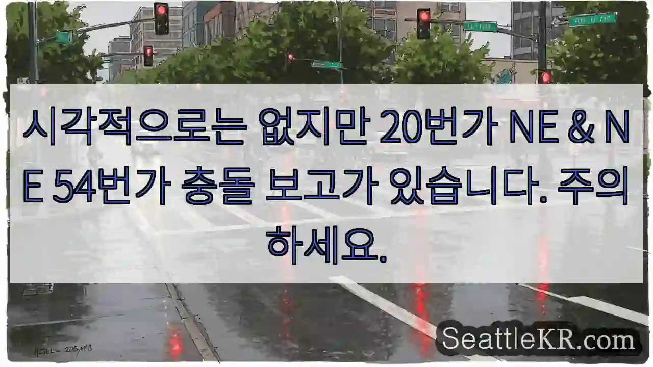 시각적으로는 없지만 20번가 NE & NE 54번가 충돌 보고가 있습니다. 주의하세요.