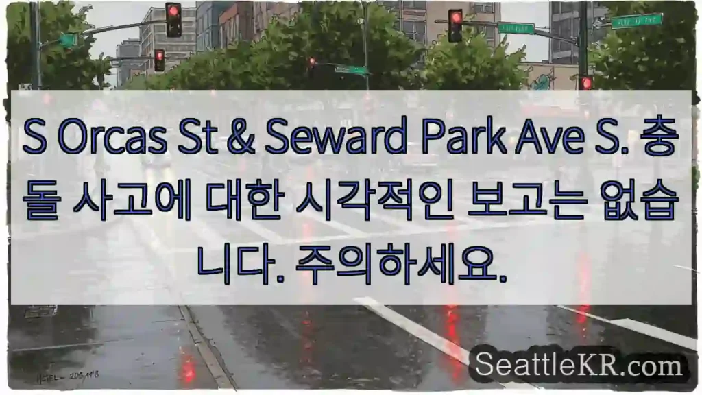 S Orcas St & Seward Park Ave S. 충돌 사고에 대한 시각적인