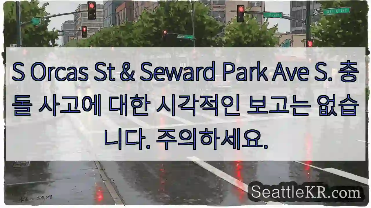 S Orcas St & Seward Park Ave S. 충돌 사고에 대한 시각적인