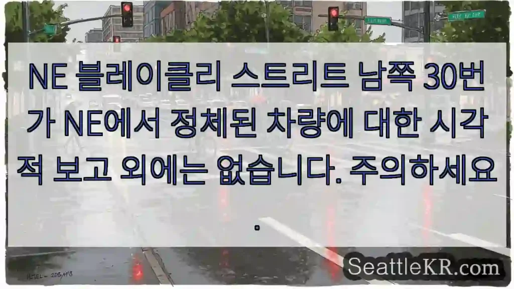 NE 블레이클리 스트리트 남쪽 30번가 NE에서 정체된 차량에 대한 시각적 보고 외에는