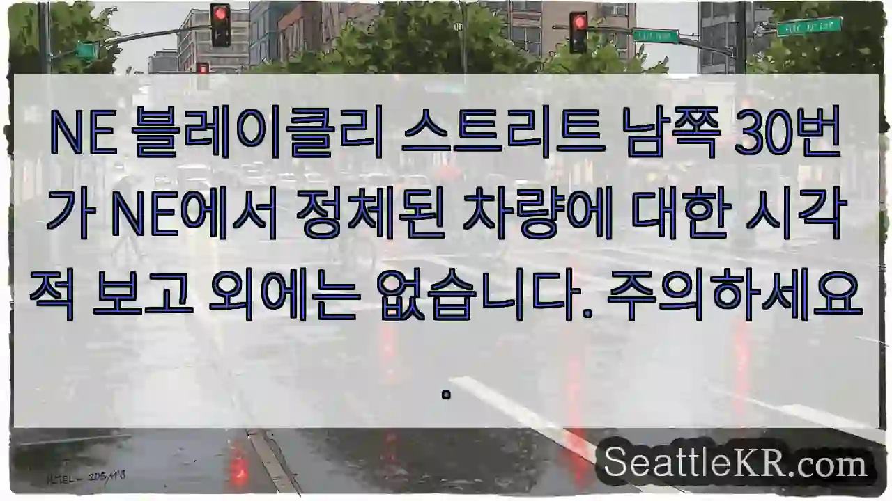 NE 블레이클리 스트리트 남쪽 30번가 NE에서 정체된 차량에 대한 시각적 보고 외에는