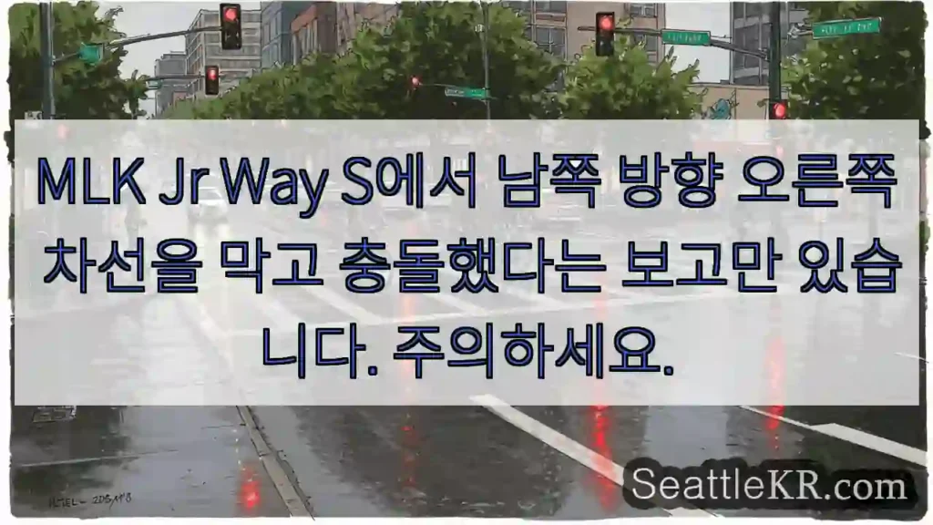 MLK Jr Way S에서 남쪽 방향 오른쪽 차선을 막고 충돌했다는 보고만 있습니다.