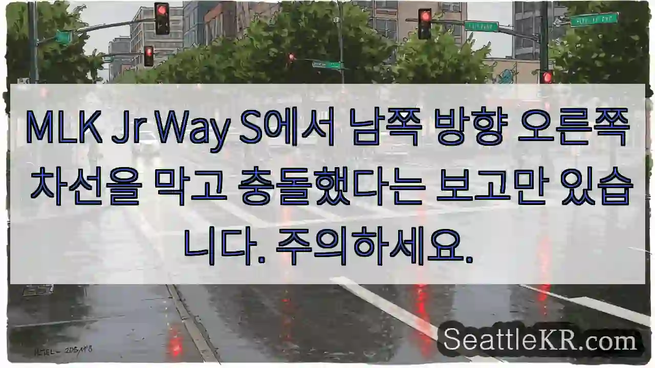 MLK Jr Way S에서 남쪽 방향 오른쪽 차선을 막고 충돌했다는 보고만 있습니다.