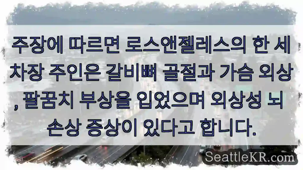 주장에 따르면 로스앤젤레스의 한 세차장 주인은 갈비뼈 골절과 가슴 외상, 팔꿈치 부상을