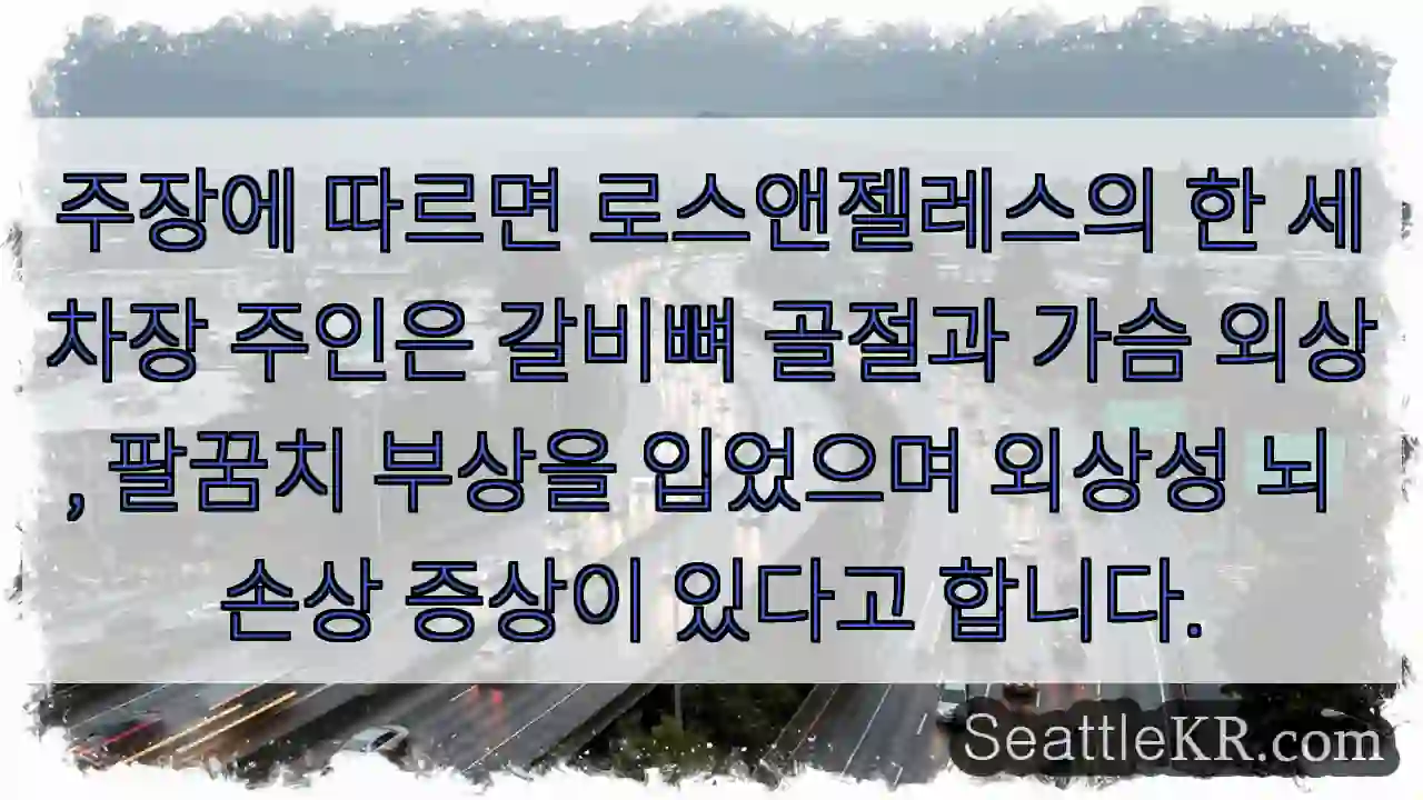 주장에 따르면 로스앤젤레스의 한 세차장 주인은 갈비뼈 골절과 가슴 외상, 팔꿈치 부상을