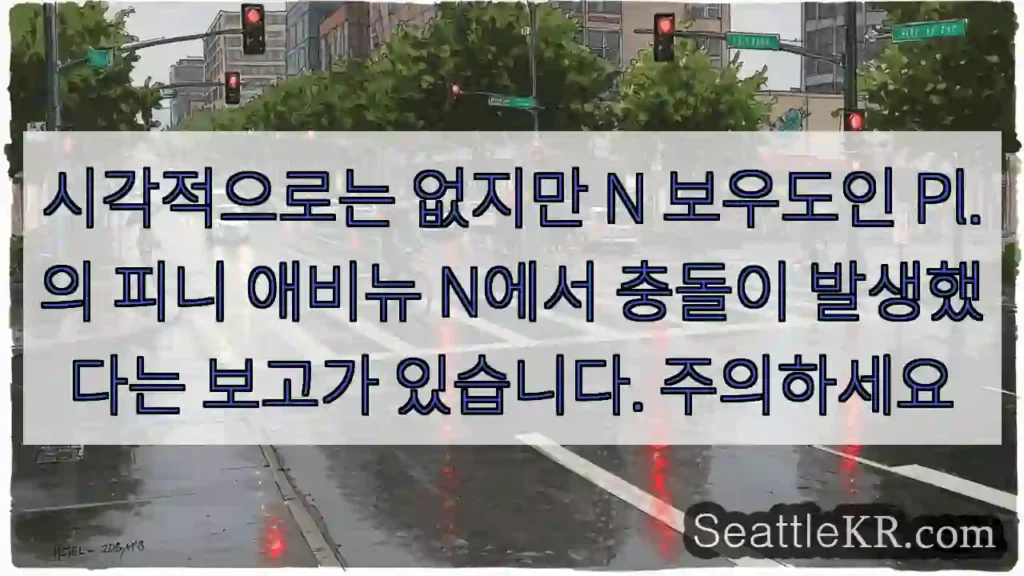 시각적으로는 없지만 N 보우도인 Pl.의 피니 애비뉴 N에서 충돌이 발생했다는 보고가