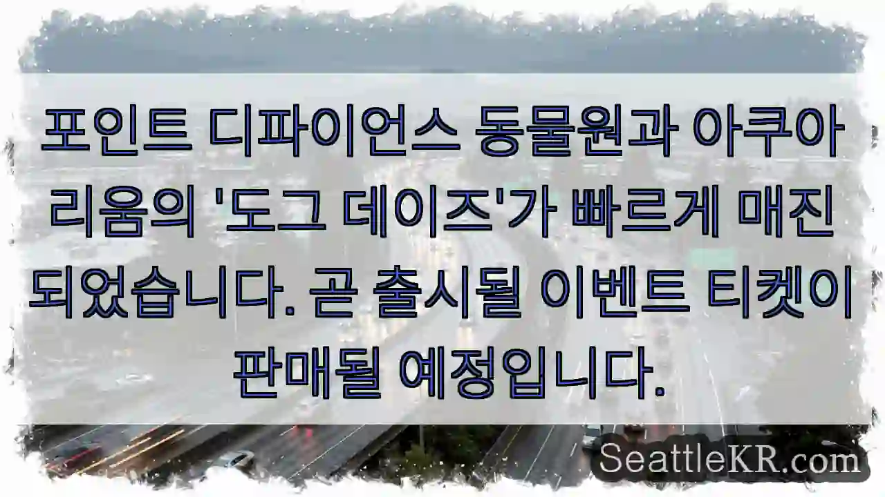 포인트 디파이언스 동물원과 아쿠아리움의 '도그 데이즈'가 빠르게 매진되었습니다. 곧
