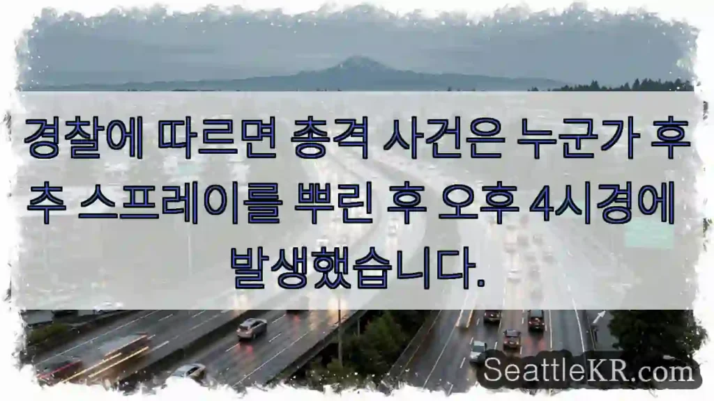 경찰에 따르면 총격 사건은 누군가 후추 스프레이를 뿌린 후 오후 4시경에 발생했습니다.