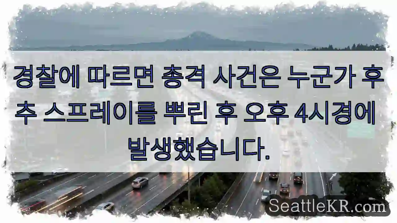 경찰에 따르면 총격 사건은 누군가 후추 스프레이를 뿌린 후 오후 4시경에 발생했습니다.