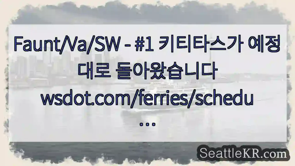 Faunt/Va/SW - #1 키티타스가 예정대로