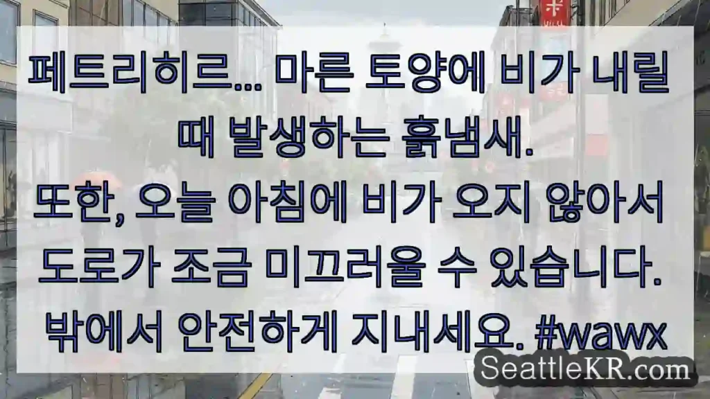 페트리히르... 마른 토양에 비가 내릴 때 발생하는 흙냄새. 또한, 오늘 아침에 비가